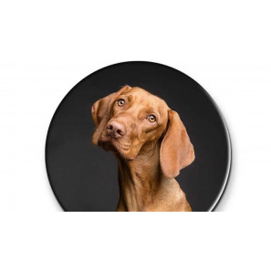 Magnet de réfrigérateur