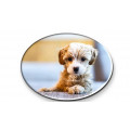 Magnet de réfrigérateur oval personnalisable