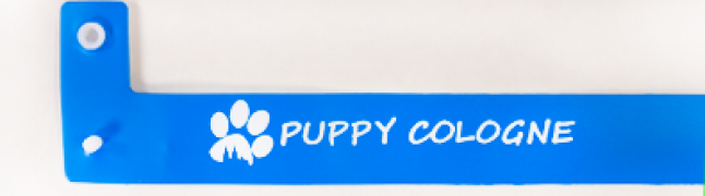 Oui, j'ai besoin d'une personnalisation avec une couleur (1+0). - +10,000 € (+12,000 € TTC)