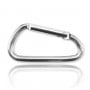 Big Carabiner (silver) - +0,100 € (+0,120 € TTC)